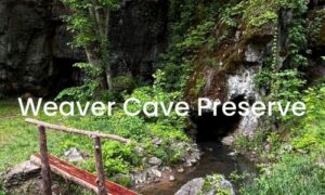 Weaver Cave Preserve Open Gate Weekend