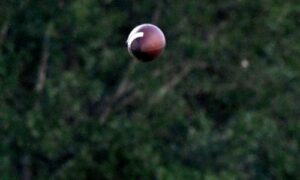Prep football roundup