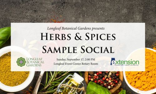 herbs and spices sample social