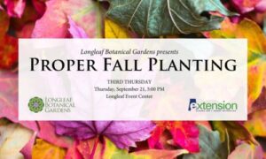 proper Fall planting