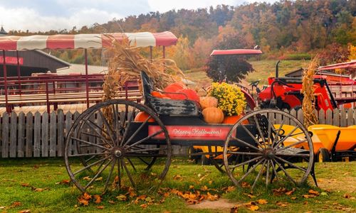 Fall Events in and Round Calhoun County