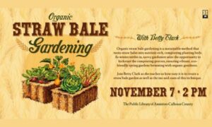 Organic straw bale gardening