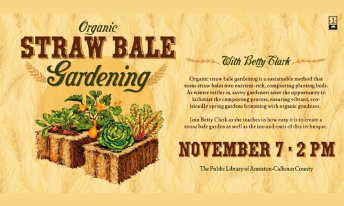 Organic straw bale gardening