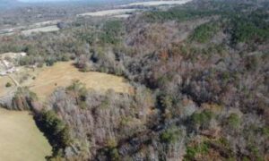 Public hearing scheduled on quarry plan near Cheaha State Park