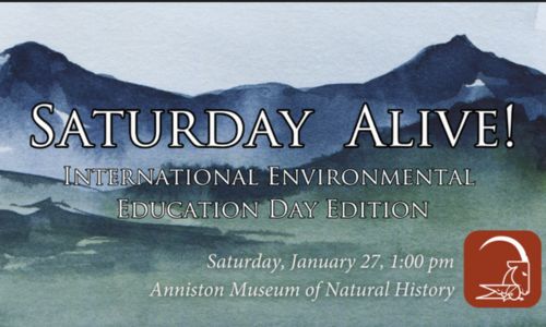 Saturday Alive! International Environmental Education Day Edition