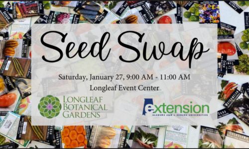 2nd Annual Seed Swap