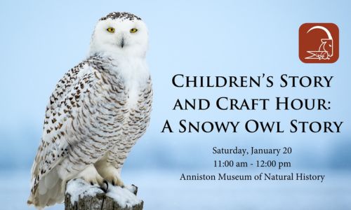 Children's Story and Craft Hour