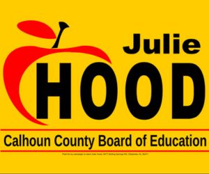 Julie Hood Political Ad