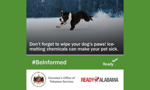 Pet Preparedness in Disaster - Keep them safe - Governor's Office of Volunteer Services