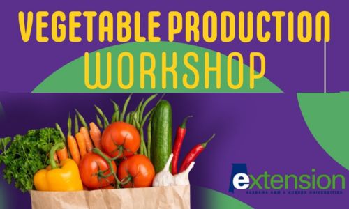 Vegetable Production Workshop