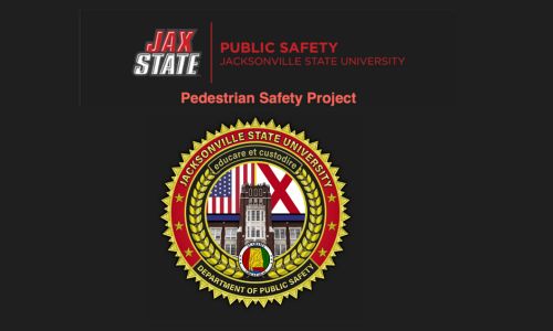 Pedestrian Safety Project Feedback