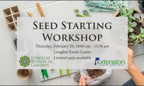 Seed Starting Workshop