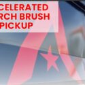Ward 4 Brush Pickup