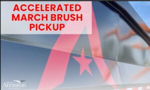 Ward 4 Brush Pickup