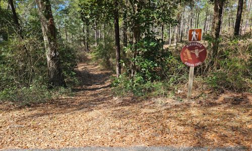 Alabama Birding Trails Insignia