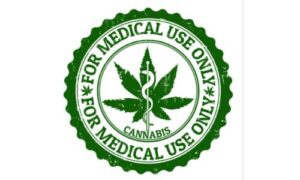 Rollin' Out Medical Cannabis Expert Panel on April 17