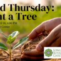 Third Thursday Plant a Tree