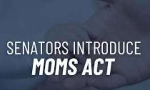 More Opportunities for Moms to Succeed (MOMS) Act