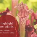 Explore Carnivorous Plants at Anniston Museums and Gardens