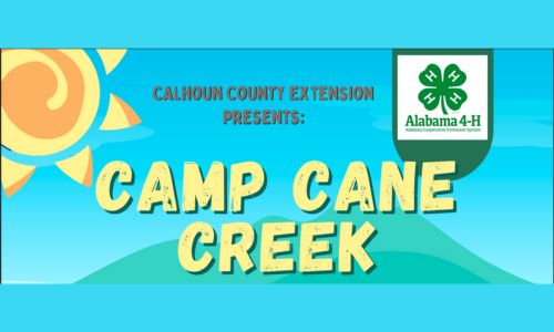 Camp Cane Creek