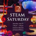 Steam Saturday
