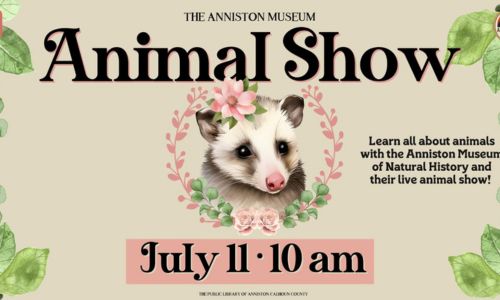 Animal Show