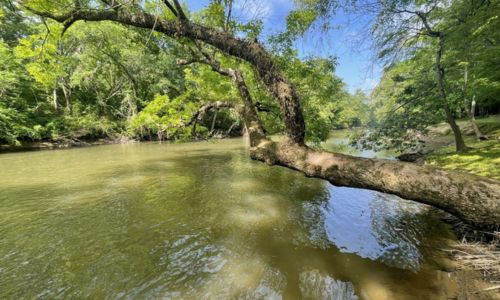 Choccolocco Creek