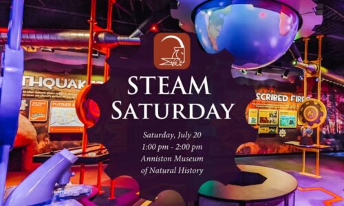 Steam Saturday