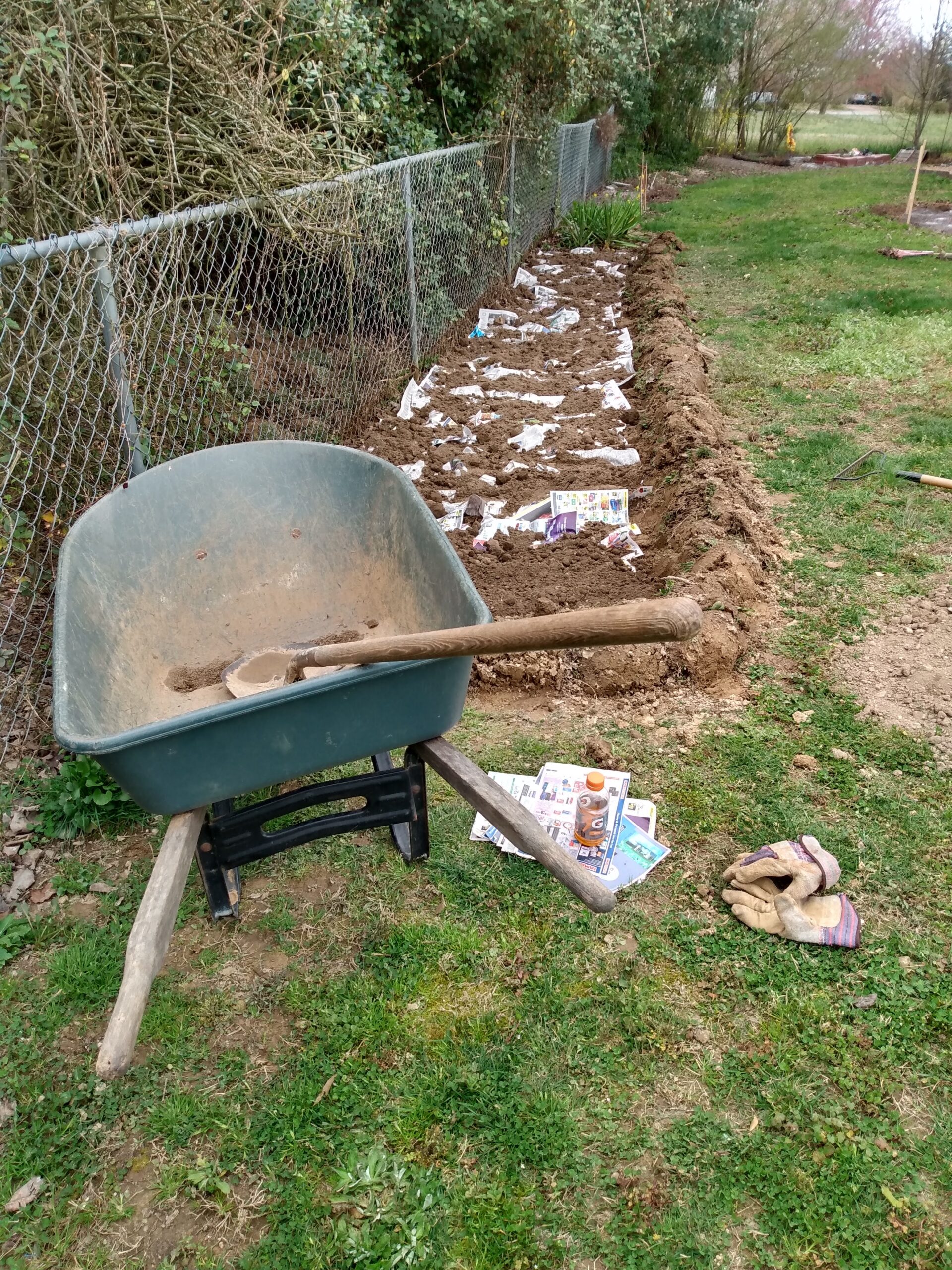 in Ground, Potted, Straw Bale, Raised Bed Gardening,