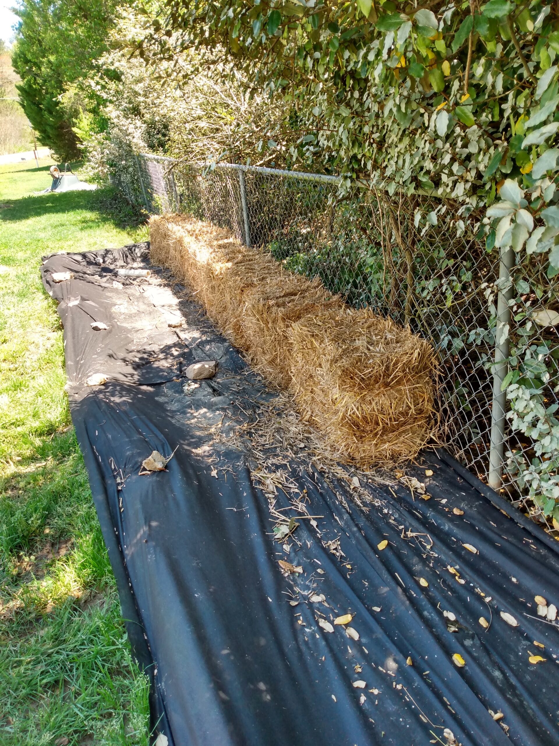 in Ground, Potted, Straw Bale, Raised Bed Gardening,