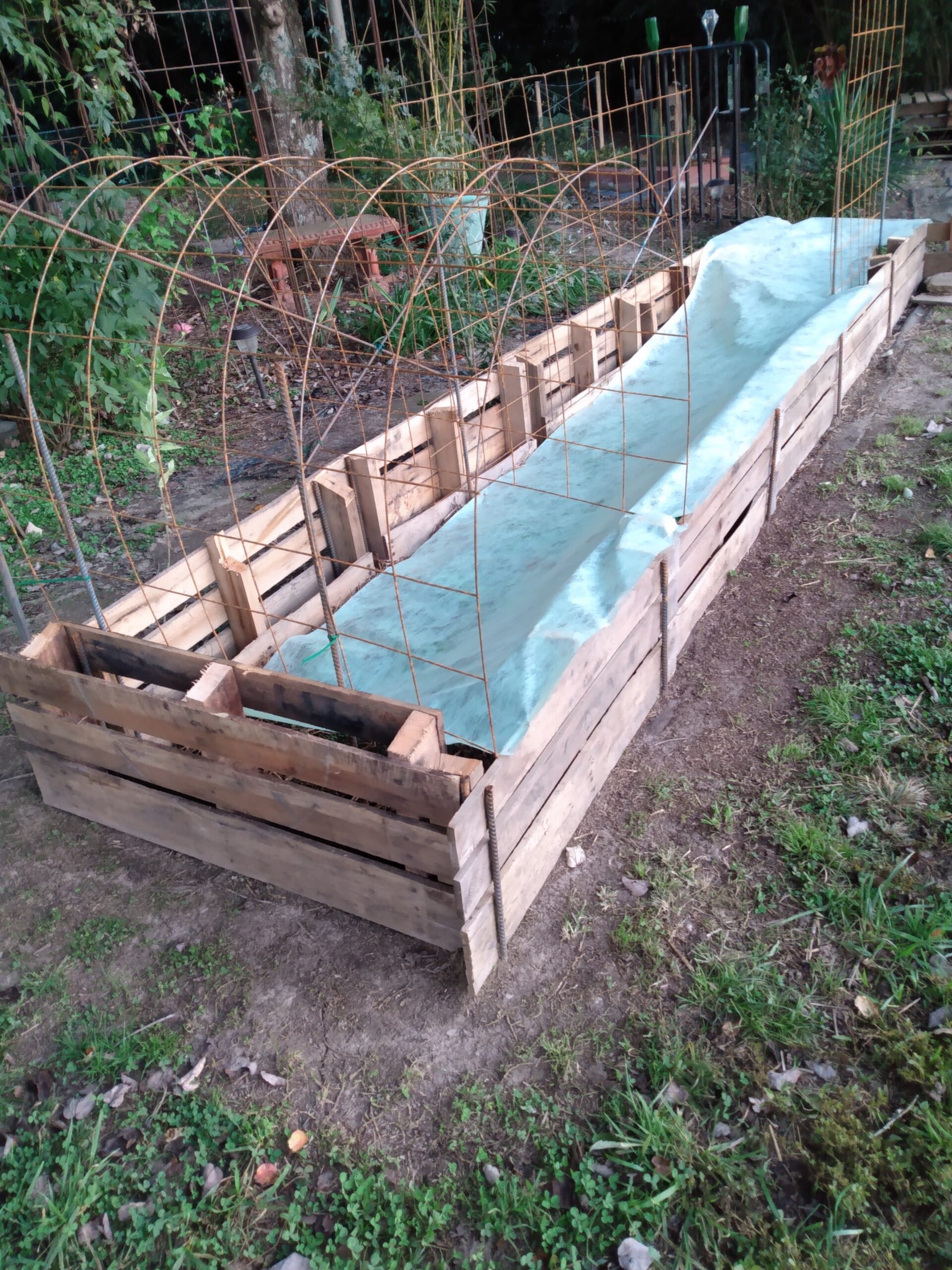 in Ground, Potted, Straw Bale, Raised Bed Gardening,