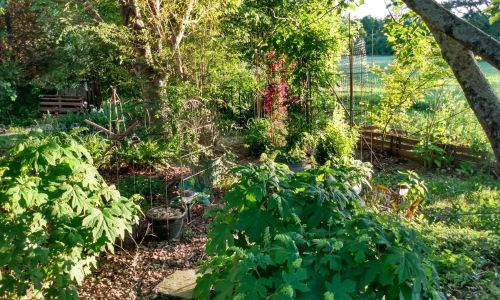 Landscaping A Shade Garden