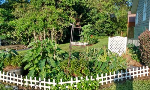 in Ground, Potted, Straw Bale, Raised Bed Gardening,