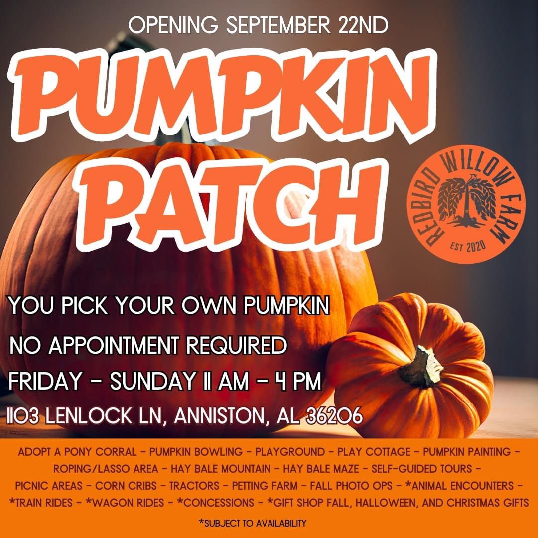 Redbird Willow Farm Pumpkin Patch and More - Calhoun Journal