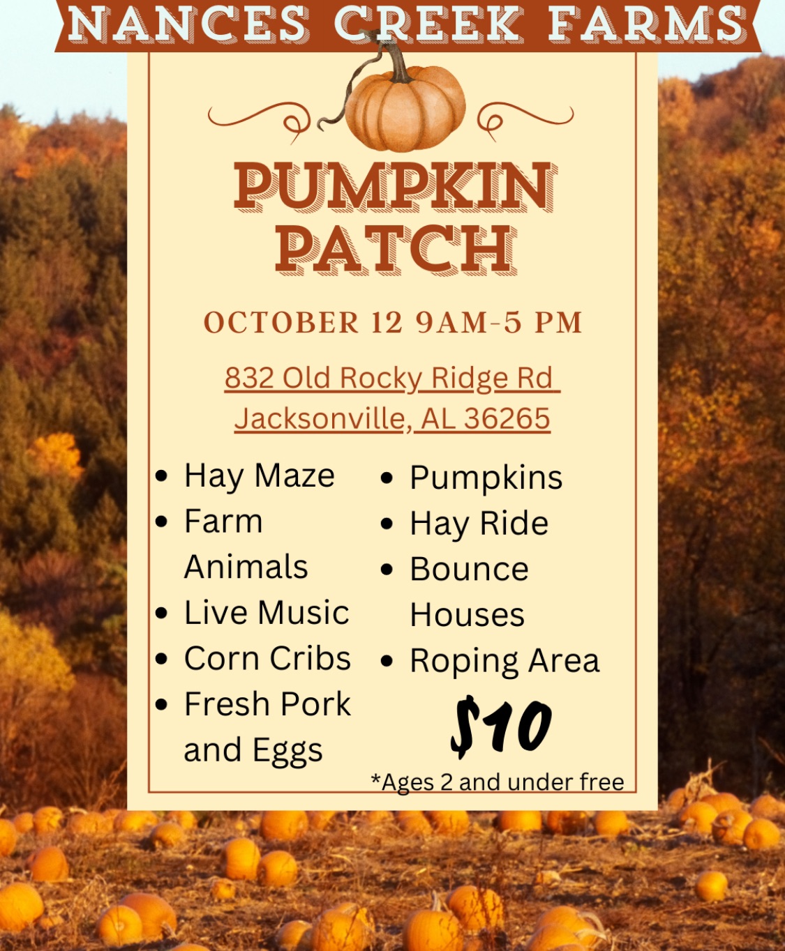 Nances Creek Farms Pumpkin Patch