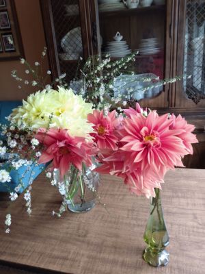 Article Floral Designing Vases of Flowers