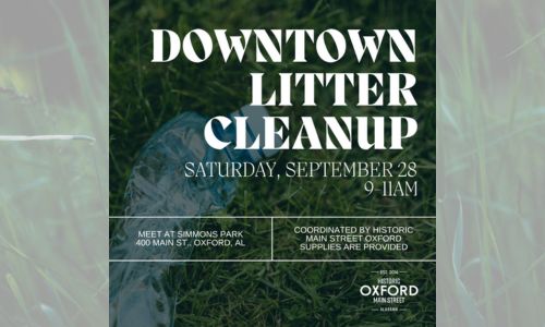 Downtown Litter Cleanup