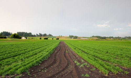 U.S. Senator Katie Britt Applauds House Passage of Legislation to Protect American Farmland from Adversaries