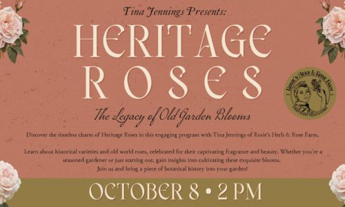 Heritage Roses