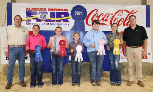 Junior Showmanship winners in the Youth Swine Show at the Alabama National Fair Oct. 13 in Montgomery were, from left, Macie Simpson of DeKalb County, champion; Ansley Payne of Randolph County, reserve champion; Ruby Hodnett of Tallapoosa County; third place; Aidan Hammonds of Calhoun County, fourth place; and Brooklyn Cobb of Calhoun County, fifth place. Junior Showmanship is for exhibitors ages 9-12. Alabama Farmers Federation and Alfa Insurance sponsored youth livestock events at the fair. Winners are pictured with Kiwanis Club representative Paul Hodges, left, and Federation Executive Director Paul Pinyan, right.