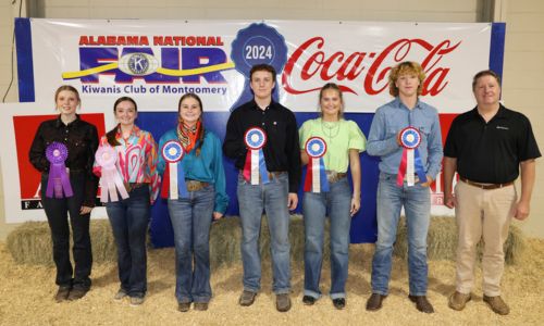 Senior Premier Exhibitor winners in the Youth Swine Show at the Alabama National Fair Oct. 13 in Montgomery were, from left, Madelyne Tallent of Calhoun County, grand champion; Alyx Johnson of Randolph County, reserve champion; Anna-Brook DeLoach of St. Clair County; third place; Tucker Ross of Jefferson County, fourth place; and Sara Kate Stitcher of Randolph County and Dalton Fink of Calhoun County tied for fifth place. Senior Premier Exhibitor is for exhibitors ages 16-19 and consists of showmanship, livestock evaluation and a written test. Alabama Farmers Federation and Alfa Insurance sponsored youth livestock events at the fair. Winners are pictured with Federation Executive Director Paul Pinyan.