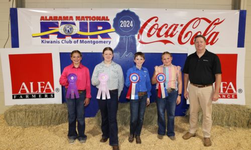  Junior Premier Exhibitor winners in the Youth Swine Show at the Alabama National Fair Oct. 13 in Montgomery were, from left, Macie Simpson of DeKalb County, grand champion; Abigail Cone of Calhoun County, reserve champion; Jax Johnson of Randolph County; third place; (not pictured) Raiden Lovvorn of Randolph County, fourth place; and Ansley Payne of Randolph County, fifth place. Junior Premier Exhibitor is for exhibitors ages 9-12 and consists of showmanship, livestock evaluation and a written test. Alabama Farmers Federation and Alfa Insurance sponsored youth livestock events at the fair. Winners are pictured with Federation Executive Director Paul Pinyan.