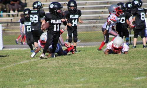 Northeast Alabama Youth Athletics