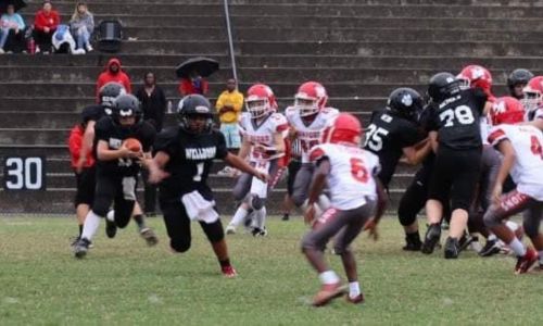 Northeast Alabama Youth Athletics