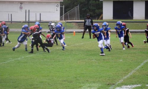 Northeast Alabama Youth Athletics