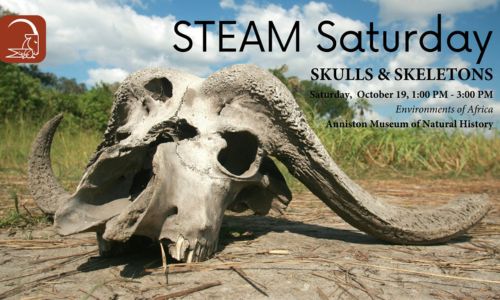 Steam Saturday