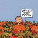 Welcome great pumpkin day