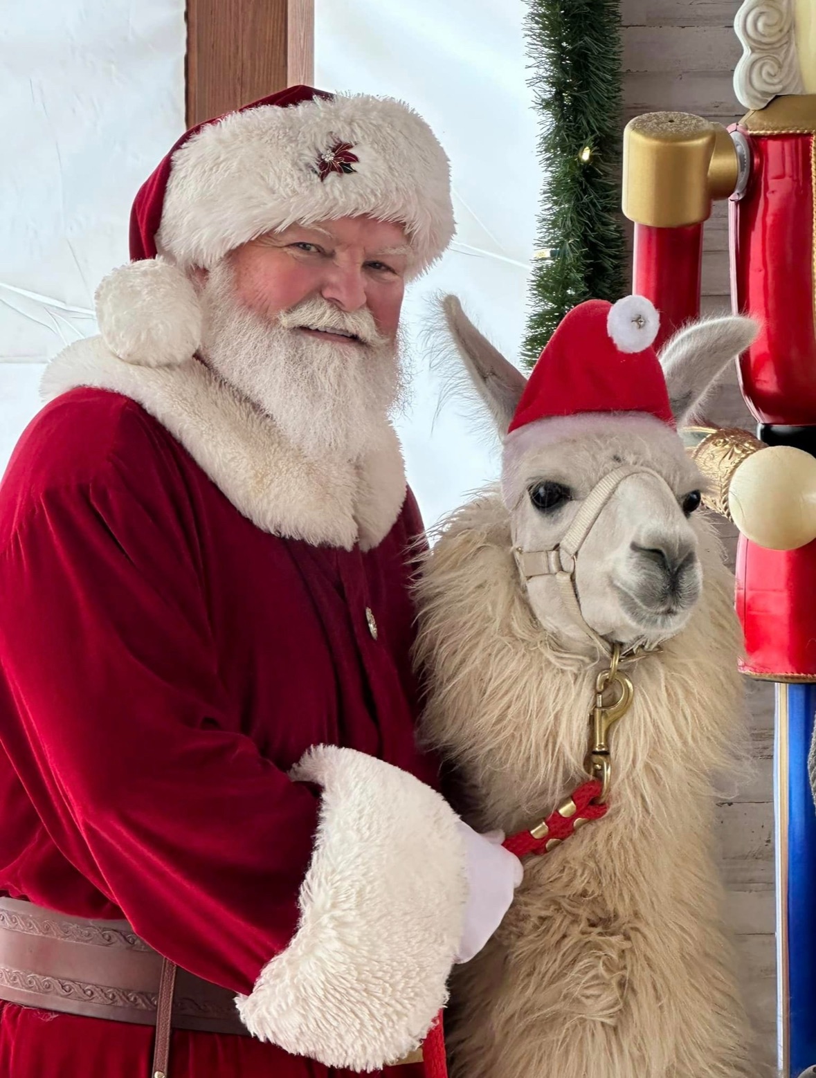 Santa & Llamas Mini Photo Sessions