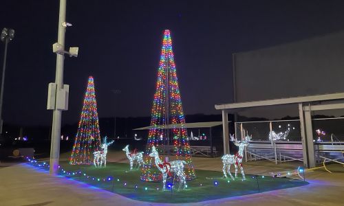 Oxford's Festival of Lights