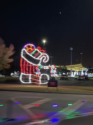 Oxford's Festival of Lights